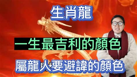 屬龍適合的顏色|2025年屬龍的適合顏色及其象徵意義解析